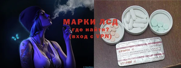 спайс Няндома