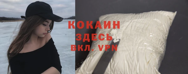 спайс Няндома