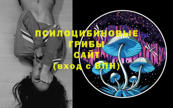 метадон Нягань