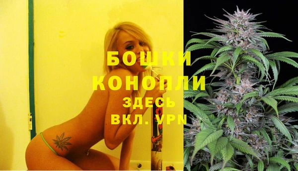 спайс Няндома