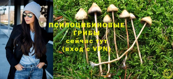 спайс Няндома